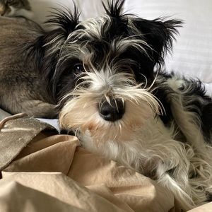 Meet your Posher, Erika